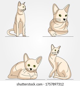 Collection of different cat poses - Vector illustration
