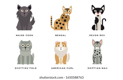 Collection of Different Cats Breeds, Maine Coon, Bengal, Devon Rex, Scottish, Fold, American Curl, Egyptian Mau Lovely Pets Animals Vector Illustration on White Background