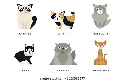 Collection of Different Cats Breeds, Manx, Persian, Abyssinian, Ragdoll, Munchkin, Nebelung Lovely Pets Animals Vector Illustration on White Background