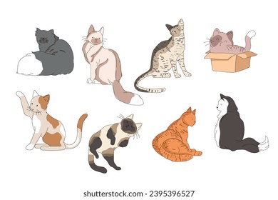 Sammlung verschiedener Katzen. Eine Reihe süßer und lustiger Katzen mit verschiedenen Farben und Rassen. Vektorgrafik