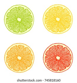 Collection of different citrus round slides of lime, lemon, orange, grapefruit and tangerine, isolated, in perfect dot graphic