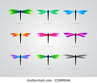 collection of different color butterfly
