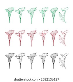 A collection of different colored calla lily flowers that are drawn on a white background	