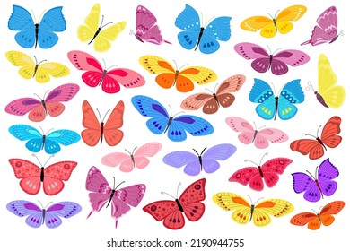 collection of different colorful butterflies for your design