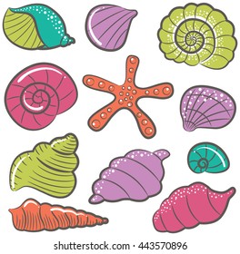 Collection of different colorful seashells isolated on white