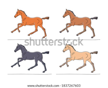 Collection of different colors of foals