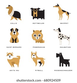 Collection of different dogs breeds characters and lettering breed in English vector Illustrations