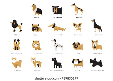 Collection of different dogs breeds characters and lettering breed in English vector Illustrations