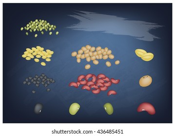 Collection of Different Dried Beans, Mung, Kidney, Black Eye, Soy Bean and Yellow Split Peas on Chalkboard with Copy Space for Text Decoration.
