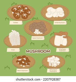 Collection of different edible mushrooms with baskets on grass