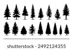 A collection of different evergreen tree silhouettes in black on a white background.