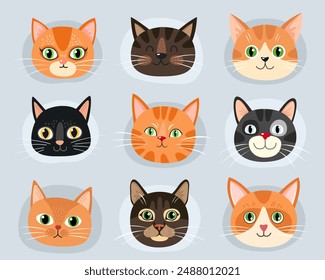 Collection of different faces of cats. Red and black cute cats. Tabby cats. Characters. Cartoon flat illustrations of kittens. Emotions. Animal faces.