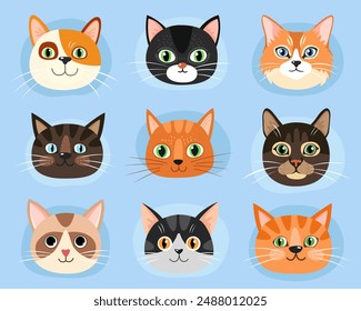 Collection of different faces of cats. Red, black, brown cute cats. Tabby, siamese and calico cats. Characters. Cartoon flat illustrations of kittens. Emotions. Animal faces.