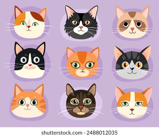 Collection of different faces of cats. Red, black, brown cats. Tabby, siamese and calico cute cats. Characters. Cartoon flat illustrations of kittens. Emotions. Animal faces.