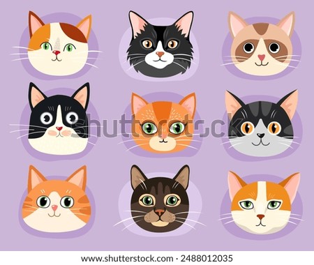 Collection of different faces of cats. Red, black, brown cats. Tabby, siamese and calico cute cats. Characters. Cartoon flat illustrations of kittens. Emotions. Animal faces.