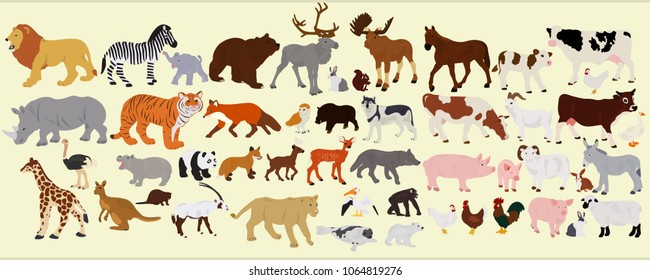 A collection of different farm animals, African and Australian on a light background