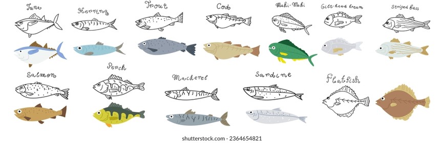 Collection of different fish. Flat and outline design. Hand drawn icons. Organic healthy food. Hand drawn vector illustrations on white background.