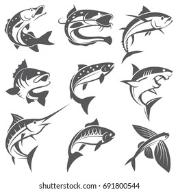 collection of different fish types