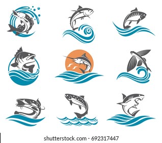 collection of different fish types with waves