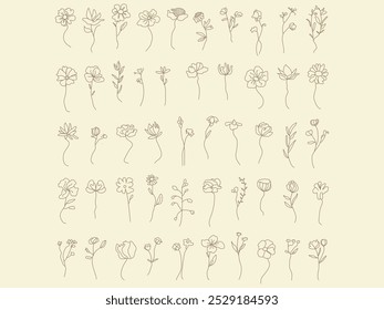 a collection of different flowers drawn by hand.