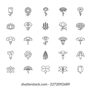 Collection of different flowers icon set. Premium quality objects. Vector illustration.