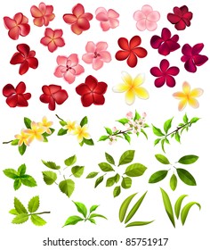 Collection of different flowers and leaves on white