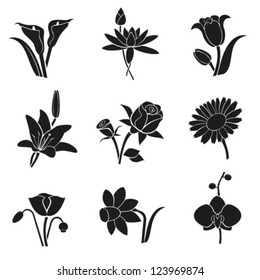 Collection of different flowers for your design.Vector. EPS-10 (non transparent elements,non gradient).