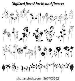 Collection of different forest herbs and flowers. Black and white silhouette.