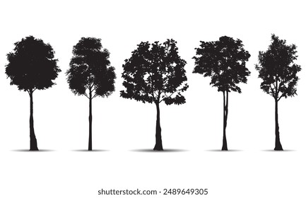 Collection of different forest tree silhouettes