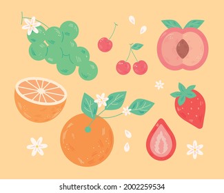 A collection of different fruits. flat design style minimal vector illustration.