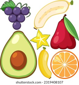 A collection of different fruits illustration