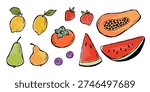 Collection of different fruits isolated on white background. Vector sketch line illustration with watercolor stains. Lemons, pears, persimmon, strawberries, blueberries, papaya and watermelon.