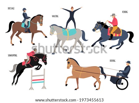 Collection of different gaits of horses and equestrian sports: Dressage, Show jumping, Reining, Driving, Vaulting isolated on white background. Colorful vector illustration in flat cartoon style.