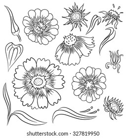 Collection of different garden flowers and leafs, set of samples, hand drawn vector illustration. 