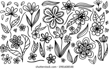 Collection of different hand drawn isolated contour  plants without background. Editable vector flowers and leaves illustration graphics.