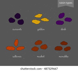 Collection of different hand drawn raisin varieties isolated on chalkboard background with names.