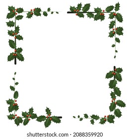 Collection of different holly branch with their green leaves and red berries