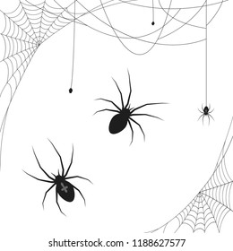 collection of different illustrated spider webs and some spiders black colored for Halloween layouts