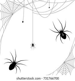 collection of different illustrated spider webs and some spiders black colored for Halloween layouts