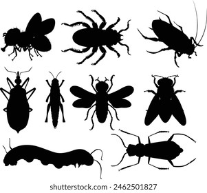 Collection of different insect silhouettes in black