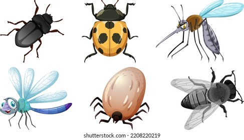 Collection of different insects vector illustration