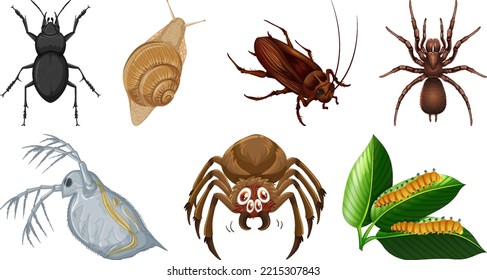 Collection of different insects vector illustration