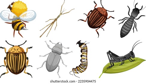 Collection of different insects vector illustration