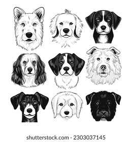 Collection of different kind of dogs black and white