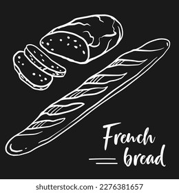 Collection of different kinds of french bread. Doodle hand drawn set of baguette french bread for decoration of bakery products shop and menu.  Vector illustration.