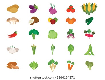 Collection of different kinds of fresh vegetables vector illustration