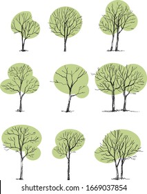 Colección de diferentes tipos de árboles.
Lado de árboles,Ilustración vectorial aislada en fondo blanco.