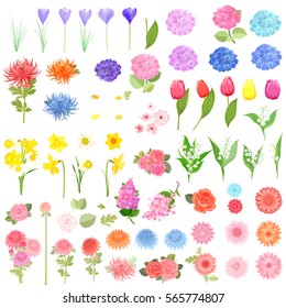 collection of different lovely spring flowers for your design