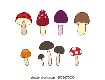 Collection of different mushrooms on white background. Vector illustration.