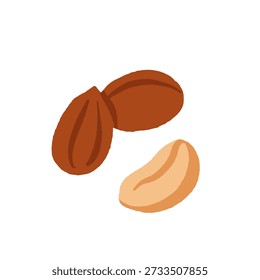 Colección de diferentes frutos secos. Cacahuete, nuez, avellana, pistacho, almendra y anacardos. Concepto de comida saludable. Productos para la merienda. Vector ilustración plana.